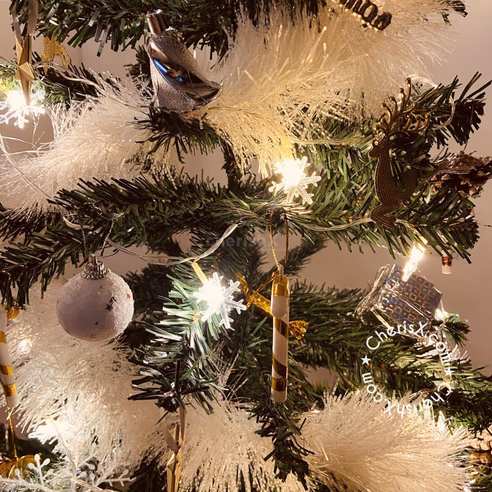 Have fun time with your family by decorating this Christmas Tree at your Home.