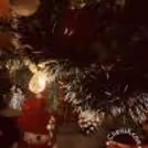 Have fun time with your family by decorating this Christmas Tree at your Home.