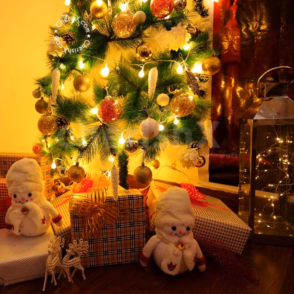 Celebrate Christmas by having this Premium Christmas Decoration!