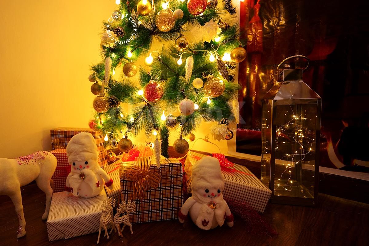 Celebrate Christmas by having this Premium Christmas Decoration!