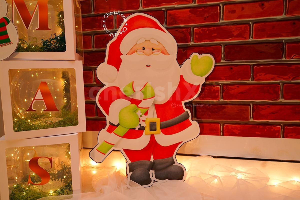 Organise a perfect Christmas Party for your office or home with CherishX's Premium XMAS Decor!