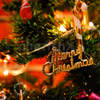 Organise a perfect Christmas Party for your office or home with CherishX's Premium XMAS Decor!