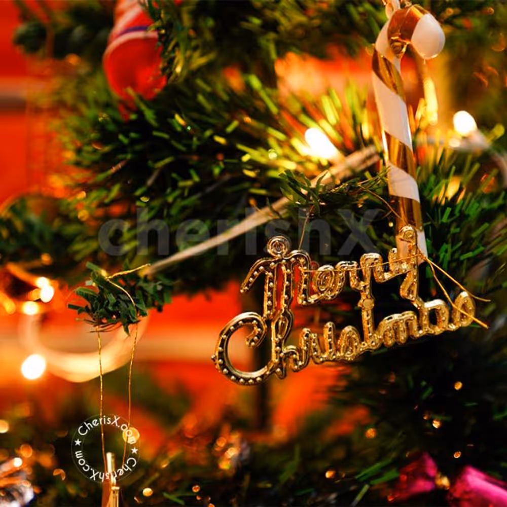 Organise a perfect Christmas Party for your office or home with CherishX's Premium XMAS Decor!
