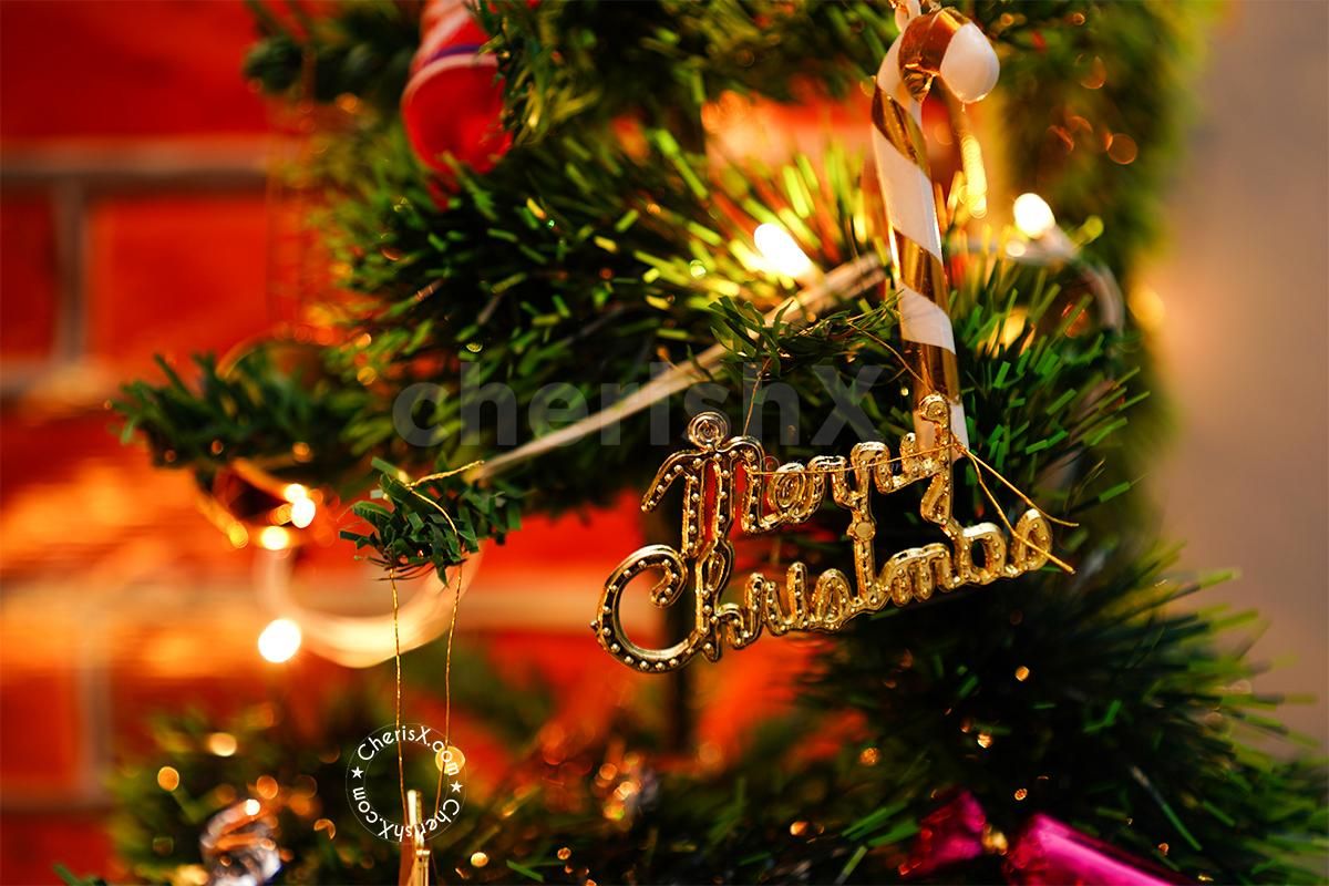 Organise a perfect Christmas Party for your office or home with CherishX's Premium XMAS Decor!