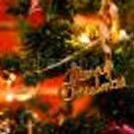 Organise a perfect Christmas Party for your office or home with CherishX's Premium XMAS Decor!