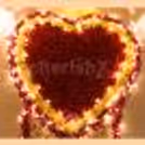 A Romantic Proposal Set Up by CherishX.