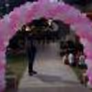 Celebrate baby shower, welcome baby party, or baby girl's birthday with CherishX's Princess Themed Decoration!