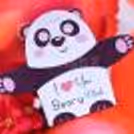 Shower your love this Valentine's Day by gifting CherishX's Teddy Balloon Bouquet to your partner !!
