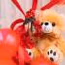 Make your Valentine's Week beautiful by booking a Teddy Balloon Bouquet with CherishX!