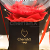 Celebrate this Valentine's Day and week beautifully with CherishX's Exclusive Red Feathers Valentine's Special Bucket  Gift!