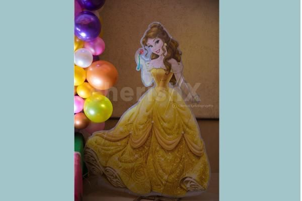 Princess Castle Theme Decoration for your Baby Girl's Birthday.