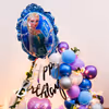 Book CherishX's Frozen Theme Decor and let your child have an amazing birthday party!