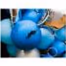 A "PAPA" Balloon Bouquet by CherishX.