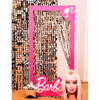 Plan a birthday party for your baby girl with this Silver Barbie Themed Decor.