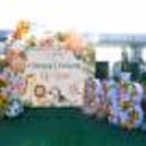 A Gorgeous Jungle Theme Decor for your baby's naming ceremony!