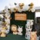 Arrange a perfect naming ceremony decor for your celebrations with CherishX's Jungle Safari Theme Balloon Decor.