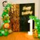 Book a Wild Jungle Safari Theme Decor in Delhi NCR.
