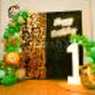 A Gorgeous Jungle Theme Birthday Decor by CherishX!
