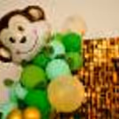 Book a Wild Jungle Safari Theme Decor in Delhi NCR.