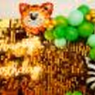 Surprise your kid with a Shimmer Jungle Theme Decor in Delhi NCR!