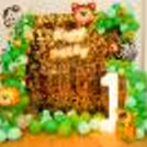 Book a Jungle theme Decor for your kids birthday in Delhi NCR.