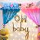 Book a Pastel Pink and Blue Theme Baby Shower Decor for your Close ones!