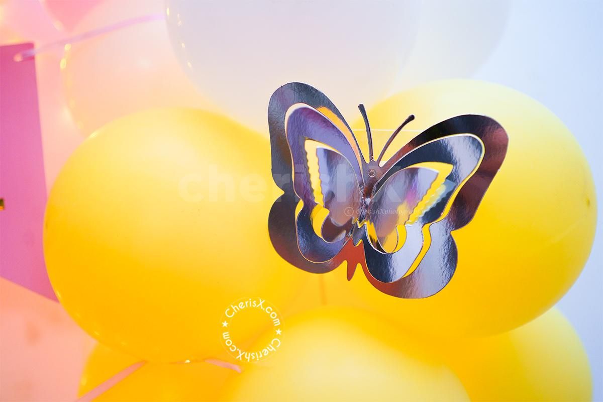 Celebrate the birth of a baby girl at your home with CherishX's Welcome Baby Decoration!