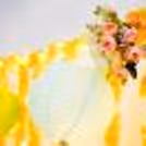 A Ganpati Marigold Decor to celebrate Ganesh Chaturthi Beautifully.
