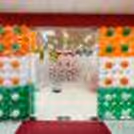 Tri-Color Independence Day Decoration — photo 2