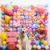 Gift your baby pet a Gorgeous Candy Birthday Decoration Surprise!
