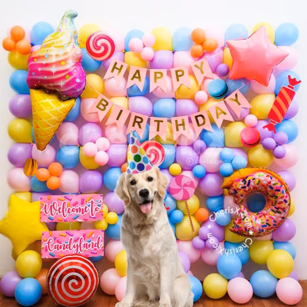 Gift your baby pet a Gorgeous Candy Birthday Decoration Surprise!