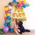 Have a bright birthday with these pretty balloons!