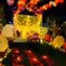 Whimsical private dinner in gurgaon by cherishx
