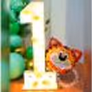 The theme also brings to you a jungle theme décor board to add the real feel