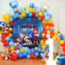 Surprise your child with the fun and wonderful Sonic birthday theme décor