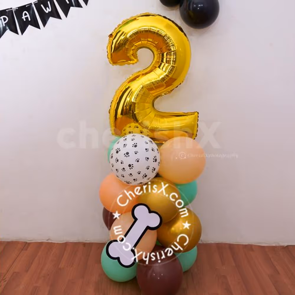 The true essence of a celebration lies in its decorations, and dog birthdays are no exception.