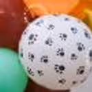 Have the best quality balloons to decorate your Dog's birthday venue