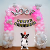 With this Pet themed birthday, give your dog a party they will always remember!
