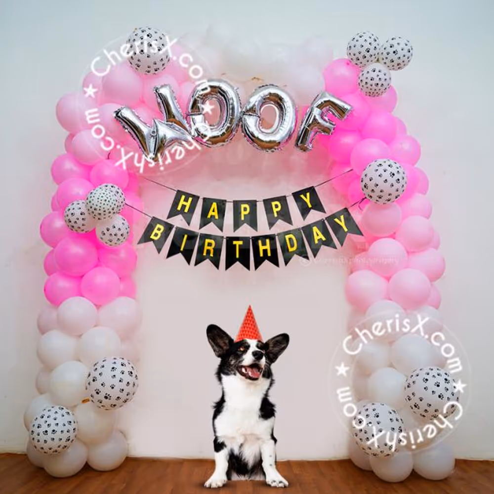 With this Pet themed birthday, give your dog a party they will always remember!