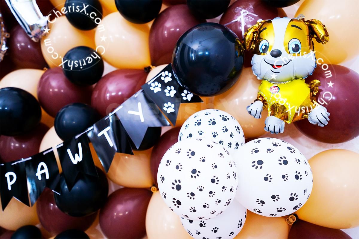 Get some Instagram-worthy pictures with your dog in some pretty surroundings