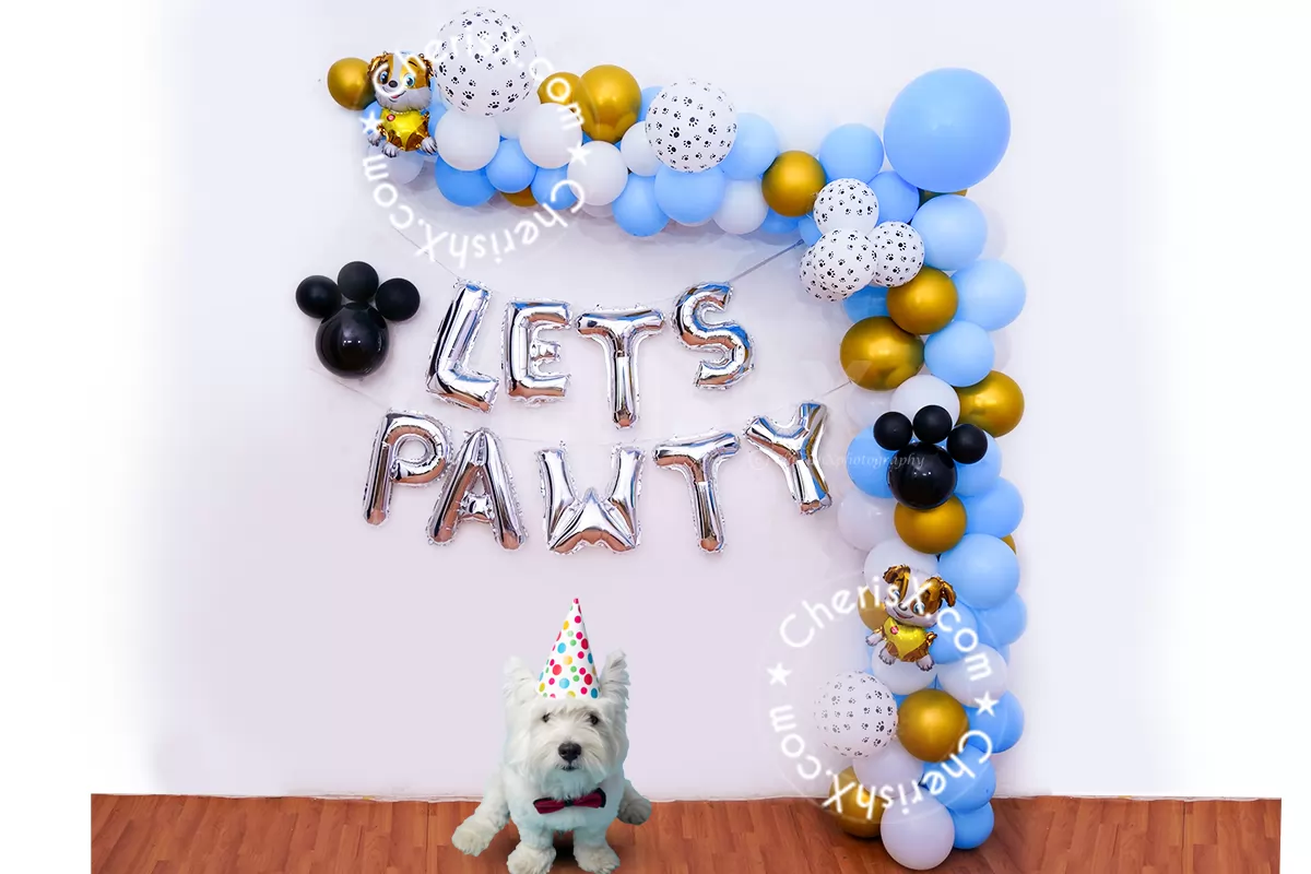 Dog Birthday Decorations for Home in Delhi NCR