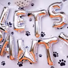 Make your pets the centre of attention with all these decorations that are all about them!