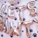 Make your pets the centre of attention with all these decorations that are all about them!