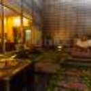 Good food and live music can set anyone's mood!