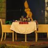 It’s a garden party with an open-air garden date at Radisson Greater Noida