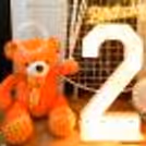 A teddy bear photo booth makes for an Instagram-worthy celebration!
