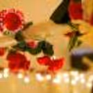 The flowers spread across the room make it extraordinarily enticing