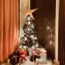Have fun time with your family by decorating this Christmas Tree at your Home.