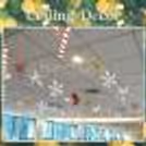 Get this Premium Christmas Decor and celebrate the festival of Christmas beautifully.