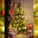 Have fun time with your office family by decorating this Christmas Tree at your office.